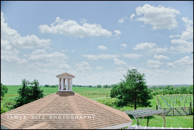 country pines, lincoln NE photographer, outdoor wedding, country wedding, lincoln nebraska photography